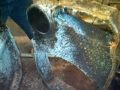leaking sectio north side